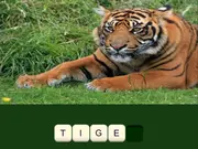 Zoo Trivia