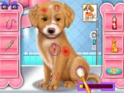 Fashion Pet Doctor