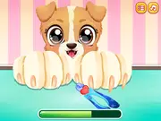 Puppy Fun Care