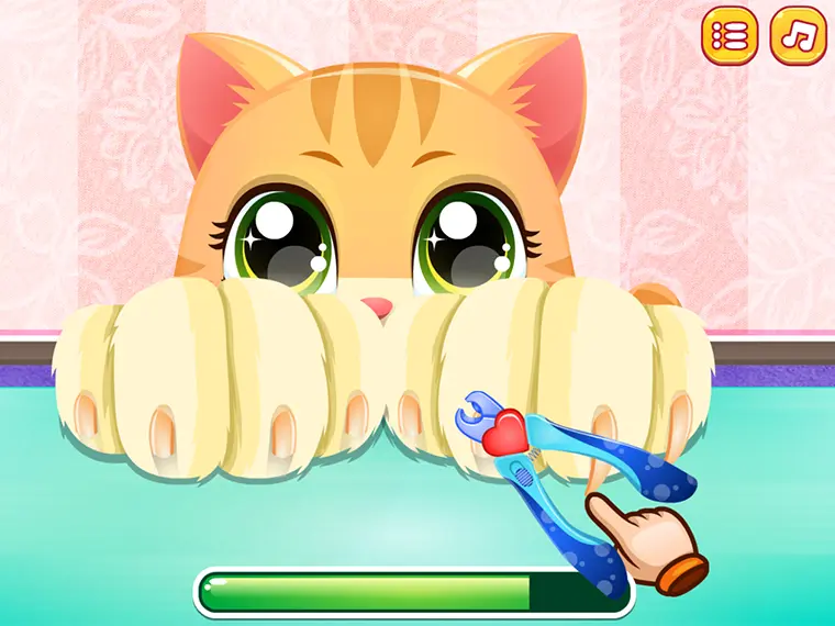Kitty Fun Care