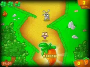 Incredible Rabbit's Day