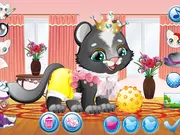 My Little Kitten