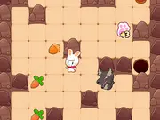 Slide Rabbit