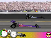 Goosehead Racing