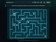 Coral Maze Diver
