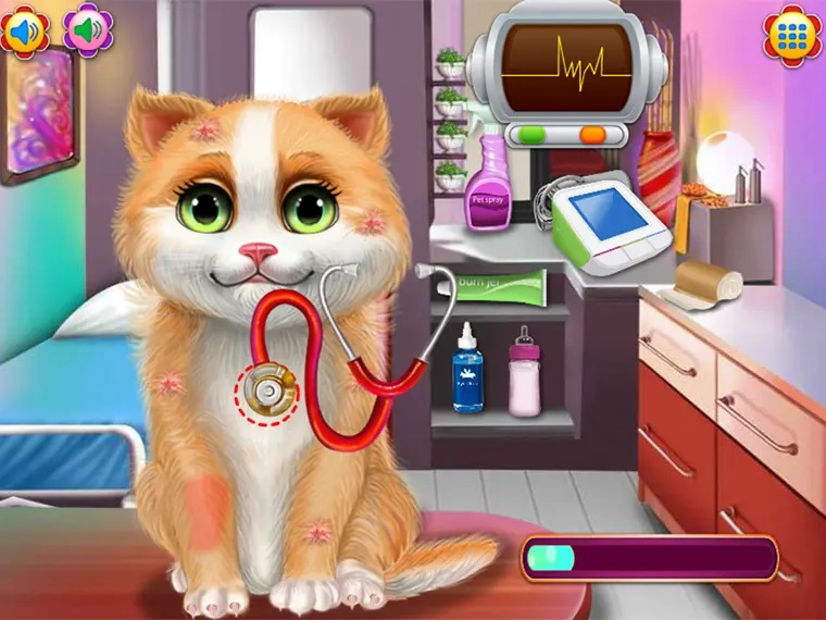 Kitty Sick Care and Grooming