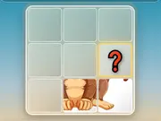 Picture Puzzle
