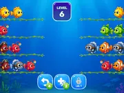 Fish Sort