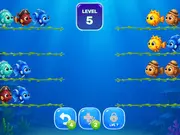 Fish Sort