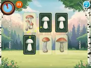 MycoThreeMemo