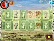 MycoThreeMemo