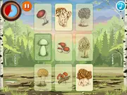 MycoThreeMemo