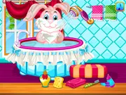 Bunny Care Description