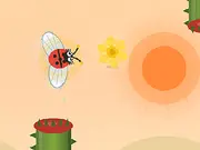 Ladybug Family