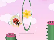 Ladybug Family