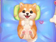 ASMR Pet Treatment