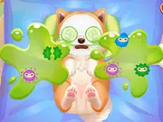ASMR Pet Treatment