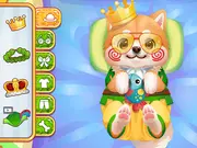 ASMR Pet Treatment