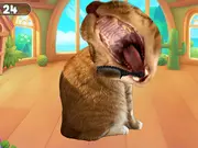 Brush Cat Challenge