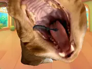 Brush Cat Challenge