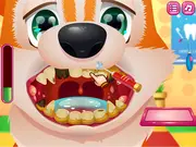Cute Puppy Dentist