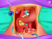 Princess Gallbladder Surgery