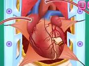 Heart Bypass Surgery