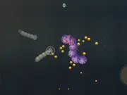 Grub