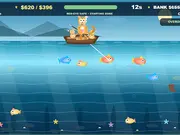 Kitty Hook Treasure Rush