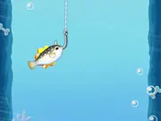 Fishing Dog