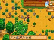Stardew Valley