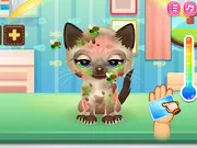 Adopt Your Pet Kitty