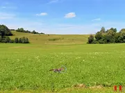 Hunting Online