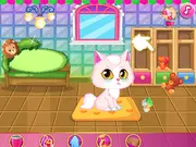 Cat Room Design