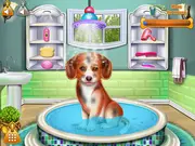 Pretty Puppy Care