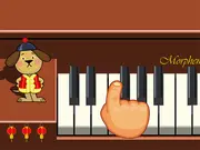 Piano Pooch