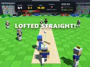 Cricket Smash 3D
