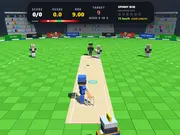 Cricket Smash 3D