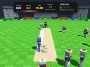Cricket Smash 3D