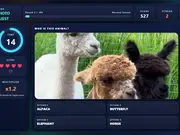 Animal Snap Showdown