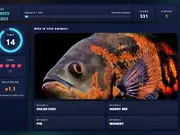Animal Snap Showdown