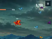 Bird Eat Bird