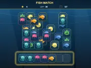 Fish Match