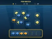 Fish Match