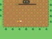 Relaxing Meadow Harvest