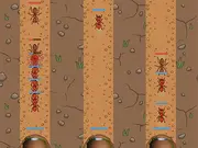 Bug Burrow Wars