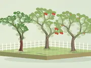 Quiet Garden