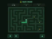 Maze Snake