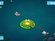 Hungry Little Frog