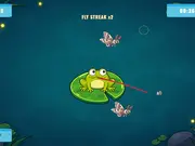 Hungry Little Frog